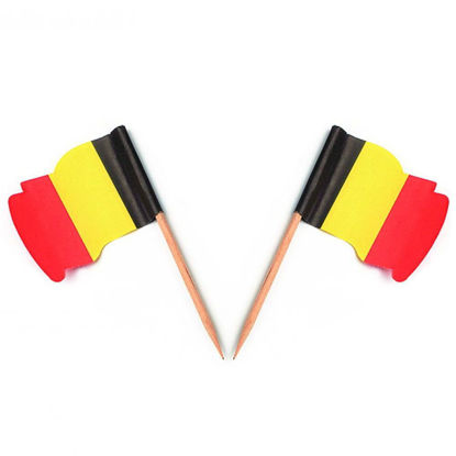 Vlagprikker België wapperend